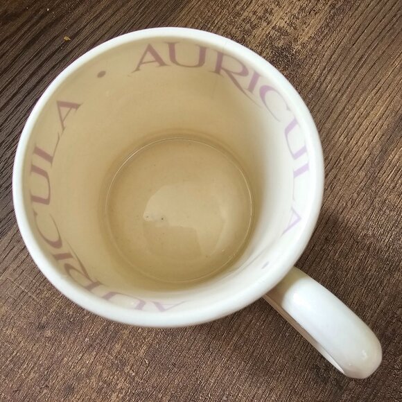 RARE!! Emma Bridgewater Half Pint Mug Auricula - Picture 3 of 5